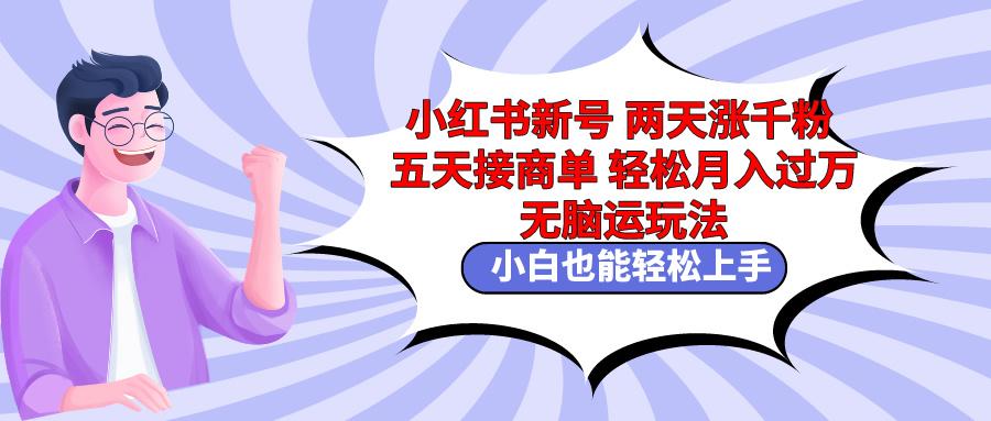 小红书新号两天涨千粉五天接商单轻松月入过万 无脑搬运玩法 小白也能轻…-跃知万川