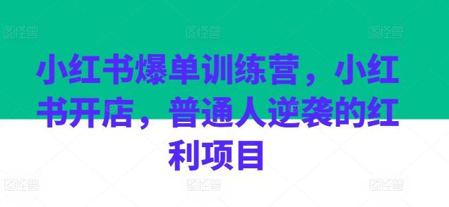 小红书爆单训练营，小红书开店，普通人逆袭的红利项目-跃知万川