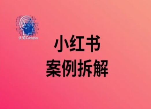 小红书案例拆解，深度解读小红书40万粉-跃知万川