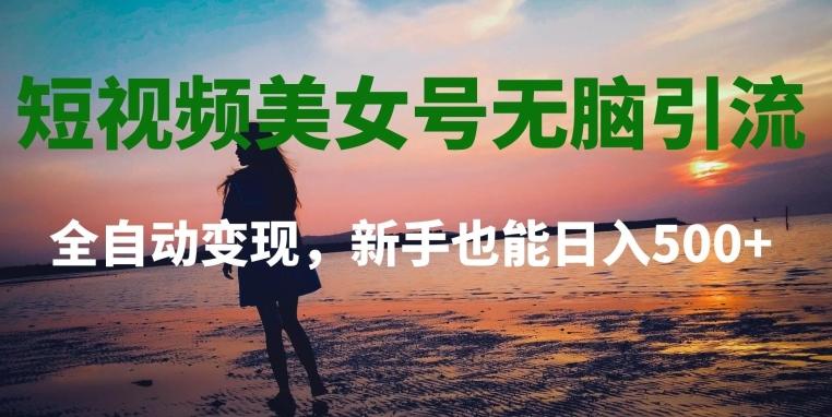 短视频美女号无脑引流，全自动变现，新手也能日入500+-跃知万川