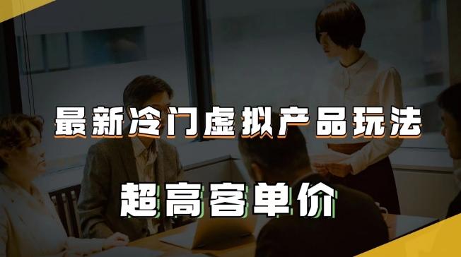 最新冷门虚拟产品玩法，超高客单价，月入2-3万＋【揭秘】-跃知万川