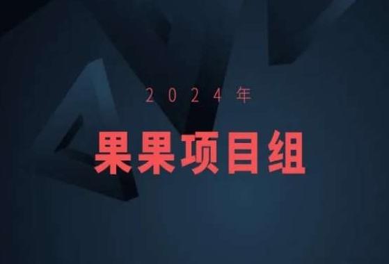 2024年果果项目组项目合集-果果最新项目-跃知万川
