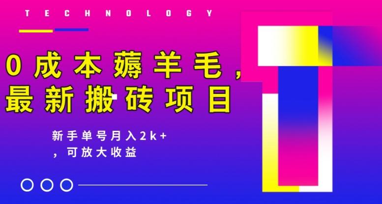 0成本薅羊毛，最新搬砖项目，新手单号月入2k+，可放大操作-跃知万川