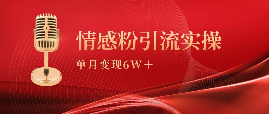 (9473期)单月变现6w+，情感粉引流变现实操课-跃知万川