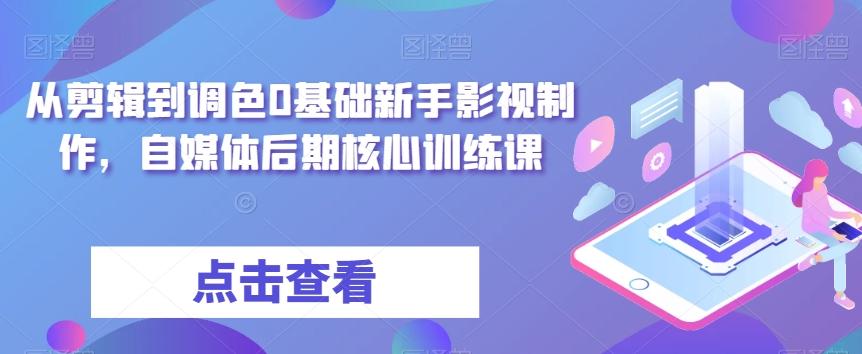 从剪辑到调色0基础新手影视制作，自媒体后期核心训练课-跃知万川