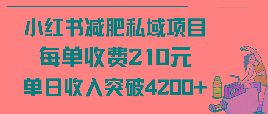 (9466期)小红书减肥私域项目每单收费210元单日成交20单，最高日入4200+-跃知万川