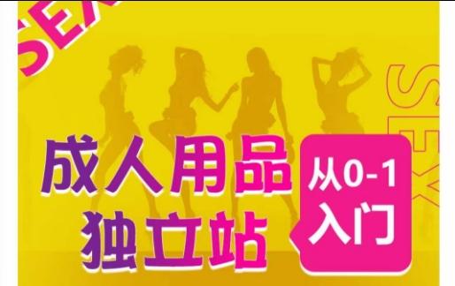 成人用品独立站从0-1入门，成品独立站运营全流程教学，七大好卖成品独立站推荐-跃知万川
