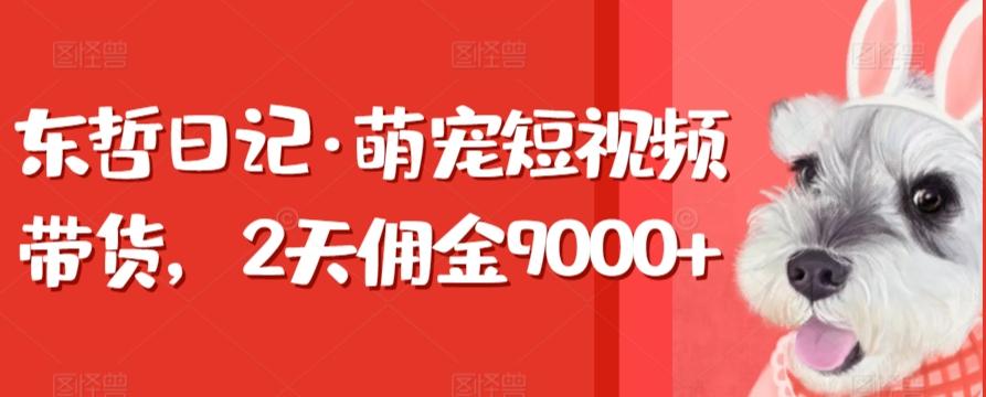 东哲日记·萌宠短视频带货，2天佣金9000+-跃知万川