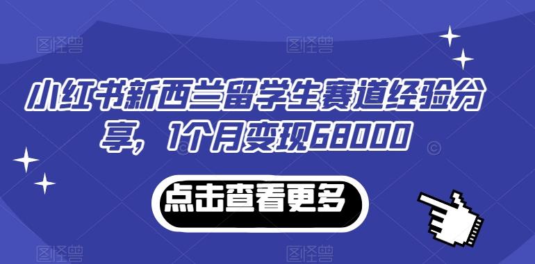 小红书新西兰留学生赛道经验分享，1个月变现68000【揭秘】-跃知万川