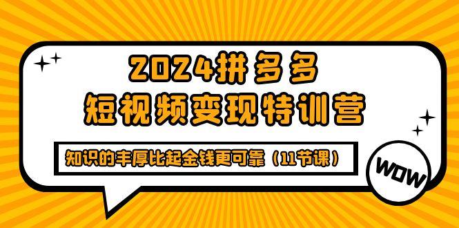 (9817期)2024拼多多短视频变现特训营，知识的丰厚比起金钱更可靠(11节课)-跃知万川