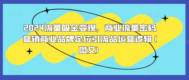 2024流量吸金变现，商业流量密码营销商业品牌定位引流品运营逻辑(图文)-跃知万川