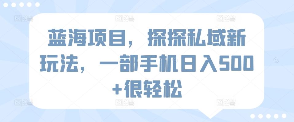 蓝海项目，探探私域新玩法，一部手机日入500+很轻松【揭秘】-跃知万川