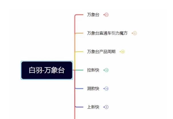 白羽·直引万搜索全篇，从0-1，多个类目实操经验总结付费-跃知万川