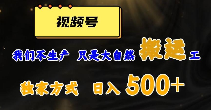 视频号轻松搬运日赚500+，一个1分钟1条原创视频【揭秘】-跃知万川