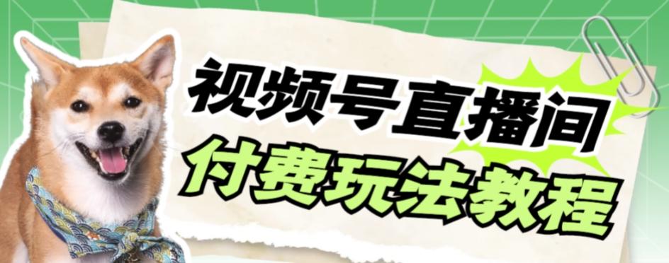 视频号美女付费无人直播，轻松日入500+【详细玩法教程】-跃知万川
