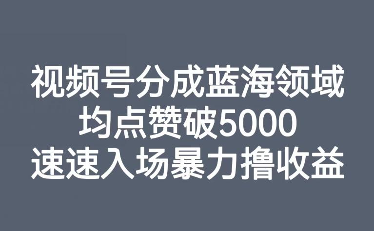 视频号分成蓝海领域，均点赞破5000，速速入场暴力撸收益-跃知万川