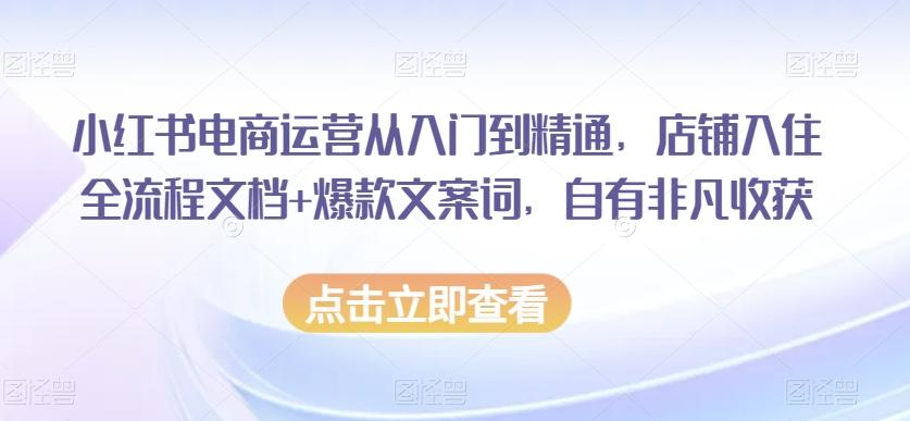 小红书电商运营从入门到精通，店铺入住全流程文档+爆款文案词，自有非凡收获-跃知万川