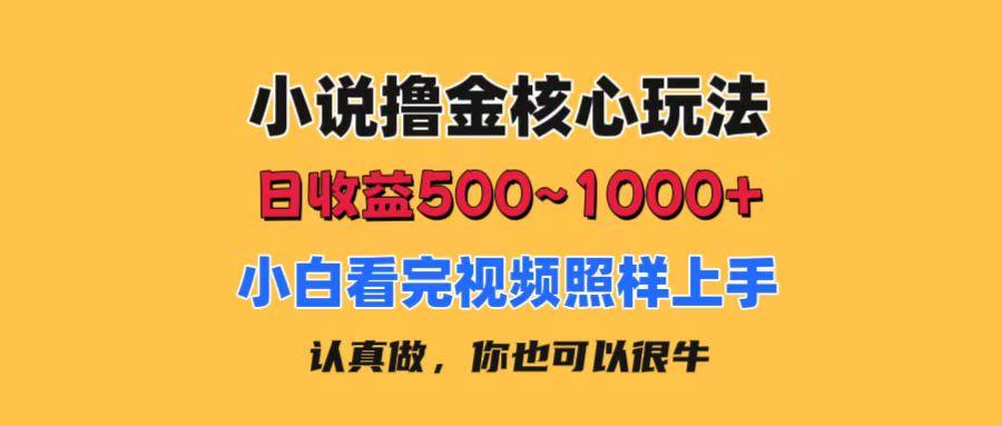 小说撸金核心玩法，日收益500-1000+，小白看完照样上手，0成本有手就行-跃知万川