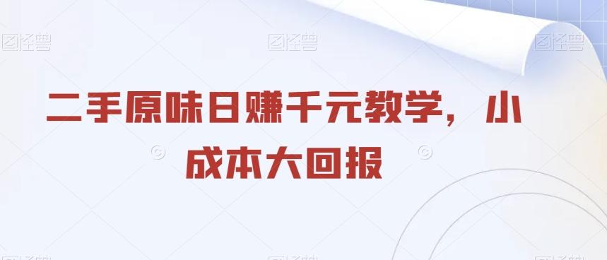 二手原味日赚千元教学，小成本大回报-跃知万川