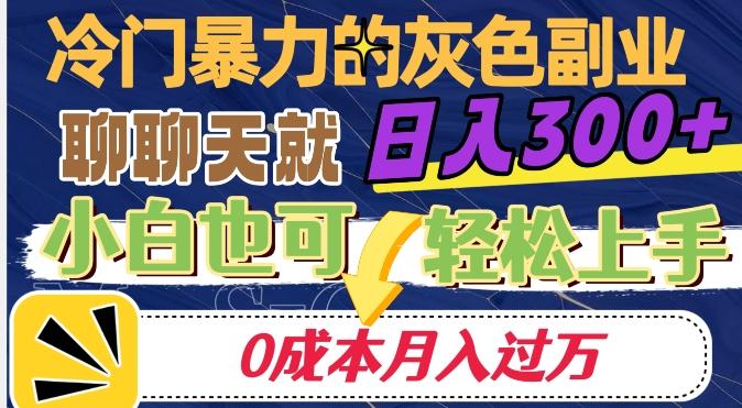 冷门暴利的副业项目，聊聊天就能日入300+，0成本月入过万【揭秘】-跃知万川