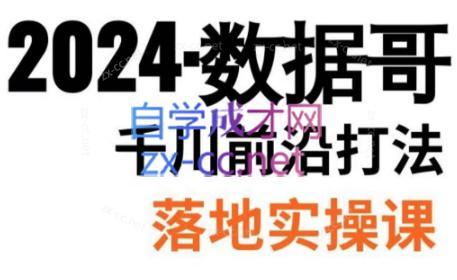 数据哥·2024年千川前沿打法落地实操课-跃知万川