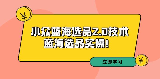 拼多多培训第33期：小众蓝海选品2.0技术-蓝海选品实操！-跃知万川