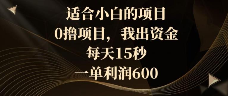 适合小白的项目，0撸项目，我出资金，每天15秒，一单利润600-跃知万川