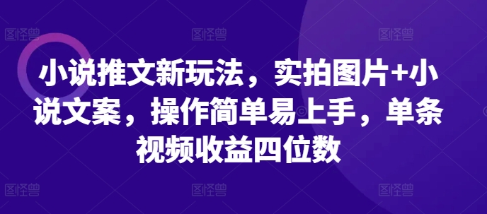 小说推文新玩法，实拍图片+小说文案，操作简单易上手，单条视频收益四位数-跃知万川