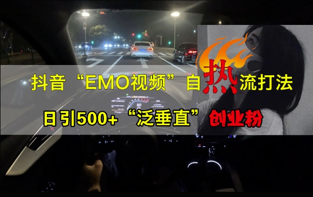抖音EMO视频自热打法，日引500+“泛垂直”创业粉-跃知万川