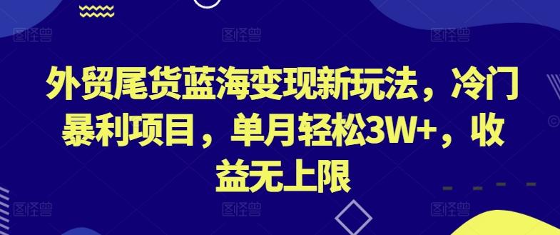 外贸尾货蓝海变现新玩法，冷门暴利项目，单月轻松3W+，收益无上限【揭秘】-跃知万川