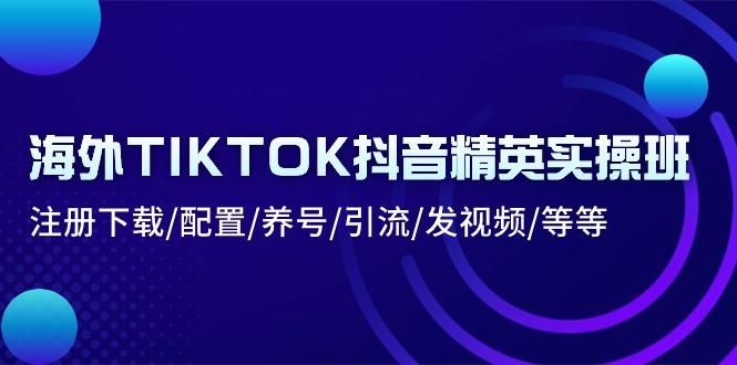 海外TIKTOK抖音精英实操班：注册下载/配置/养号/引流/发视频/等等-跃知万川