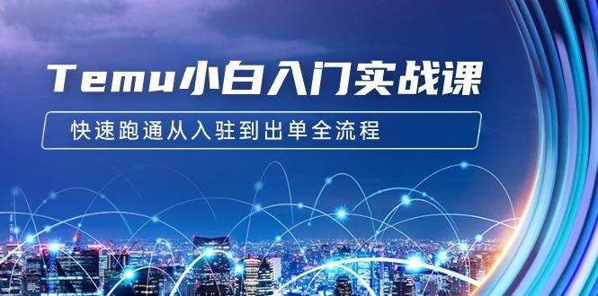 (9295期)Temu小白入门实战课：跨境拼多多电商培训 快速跑通从入驻到出单全流程-12节-跃知万川