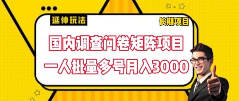 国内调查问卷矩阵项目，一人批量多号月入3000【揭秘】-跃知万川