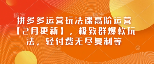 拼多多运营玩法课高阶运营【2月更新】，极致群爆款玩法，轻付费无尽复制等-跃知万川