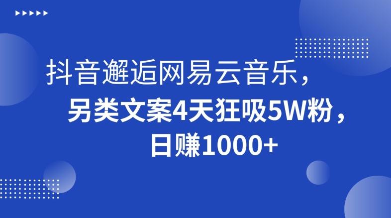 抖音邂逅网易云音乐，另类文案4天狂吸5W粉，日赚1000+【揭秘】-跃知万川