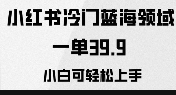小红书冷门蓝海领域，一单39.9，小白可轻松上手-跃知万川