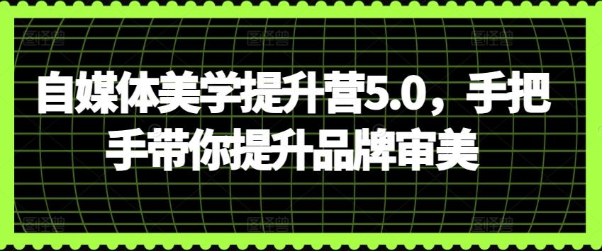 自媒体美学提升营5.0，手把手带你提升品牌审美-跃知万川