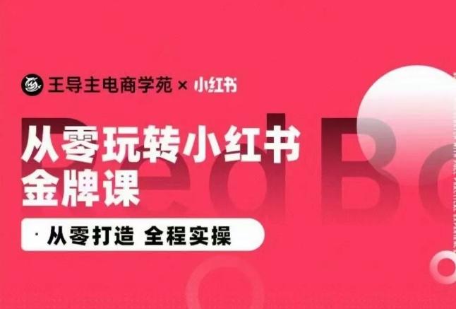 王导主·小红书电商运营实操课，​从零打造  全程实操-跃知万川