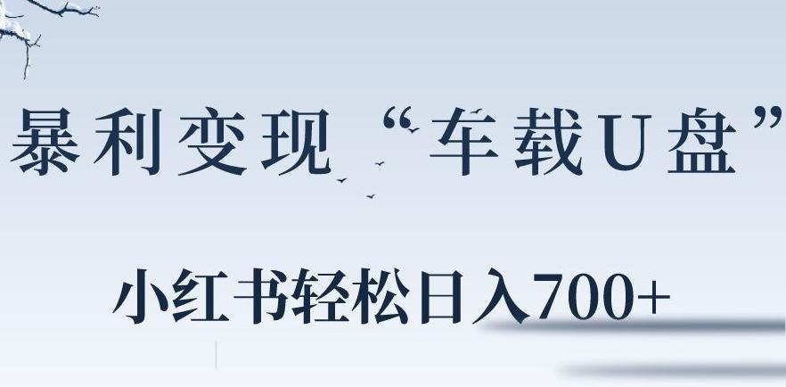小红书“车载U盘”暴利引流，日入700+-跃知万川
