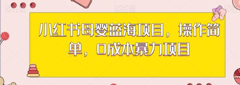 小红书母婴蓝海项目，操作简单，0成本暴力项目-跃知万川