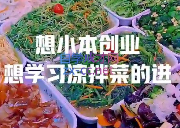李记·精品凉拌菜系列热卤系列教程-跃知万川