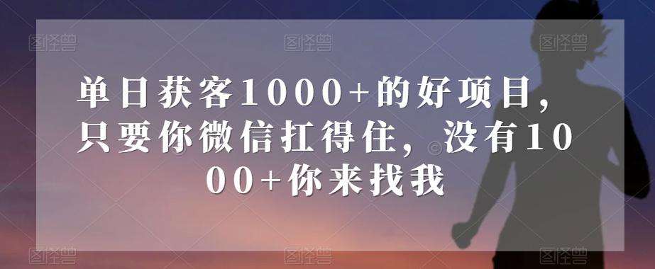 单日获客1000+的好项目，只要你微信扛得住，没有1000+你来找我【揭秘】-跃知万川