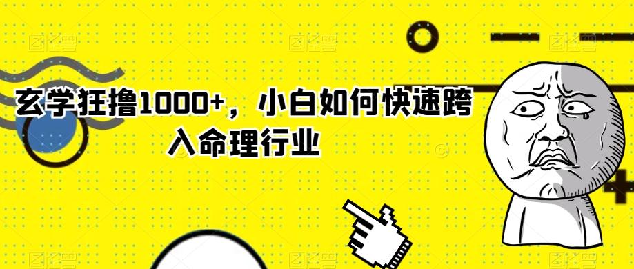 玄学狂撸1000+，小白如何快速跨入命理行业-跃知万川