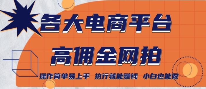 各大电商平台高佣金网拍，操作简单易上手，执行就能赚钱，小白也能做-跃知万川
