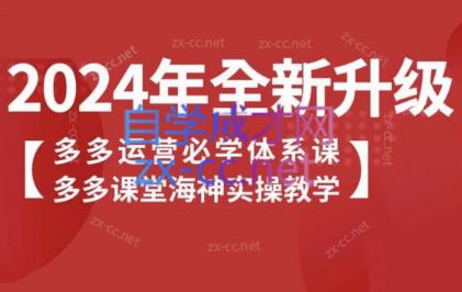 海神老师·拼多多运营必学体系课-跃知万川