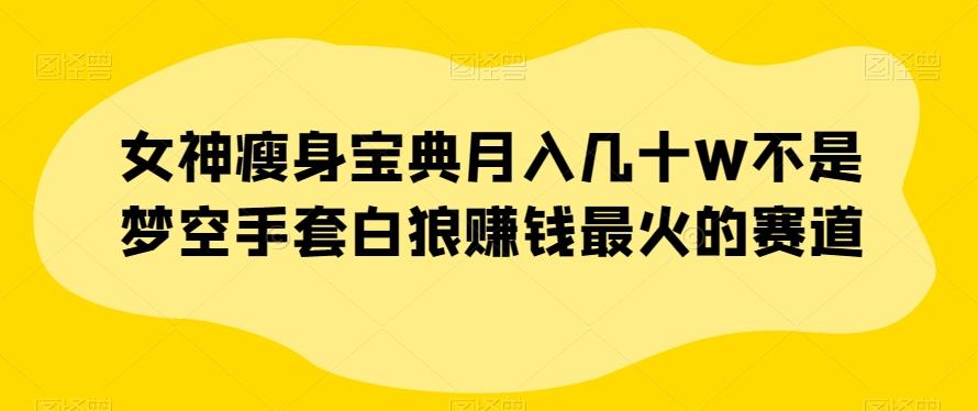 女神瘦身宝典月入几十W不是梦空手套白狼赚钱最火的赛道【揭秘】-跃知万川