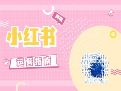 小红书运营指南，没有套路，全是经验-跃知万川