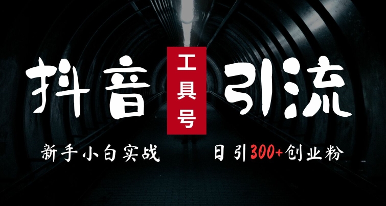2024最新抖音工具号引流玩法，高效日引300+创业粉，当天变现5k，小白也可成为实战高手-跃知万川