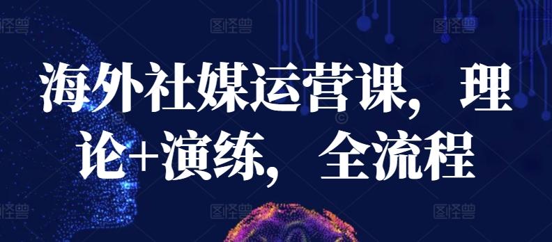 海外社媒运营课，理论+演练，全流程-跃知万川