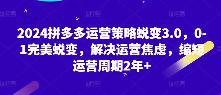 2024拼多多运营策略蜕变3.0，0-1完美蜕变，解决运营焦虑，缩短运营周期2年+-跃知万川